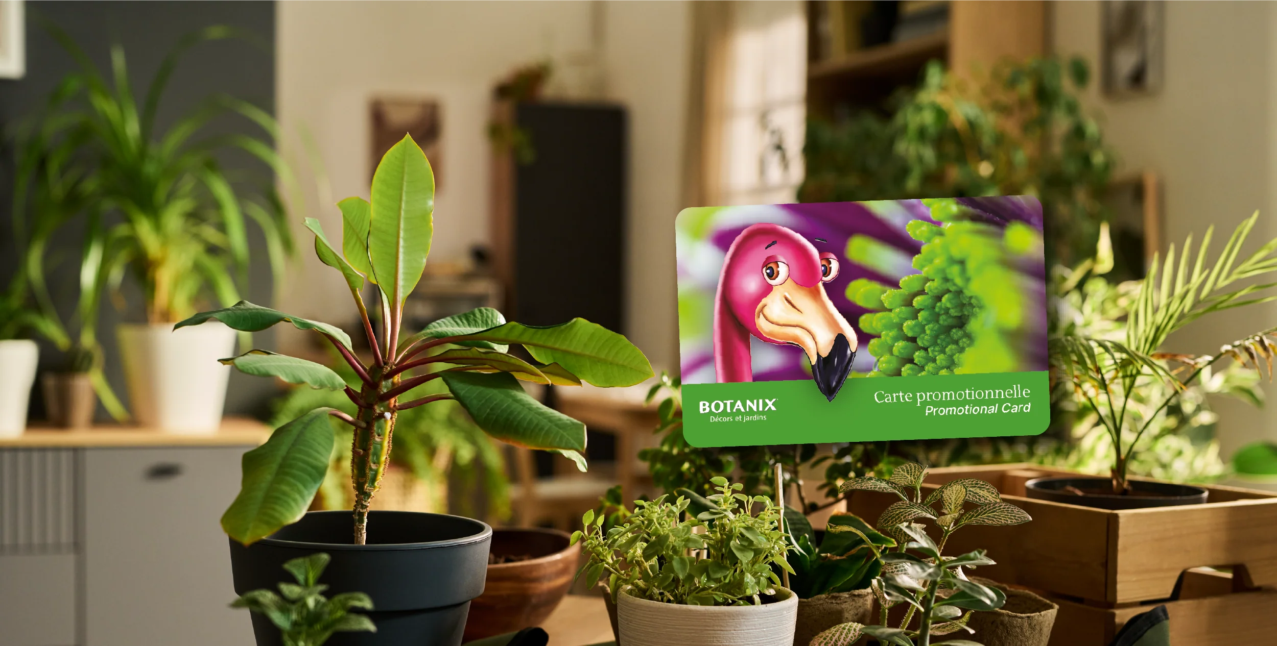 Cultivez l'exceptionnel dans votre jardin