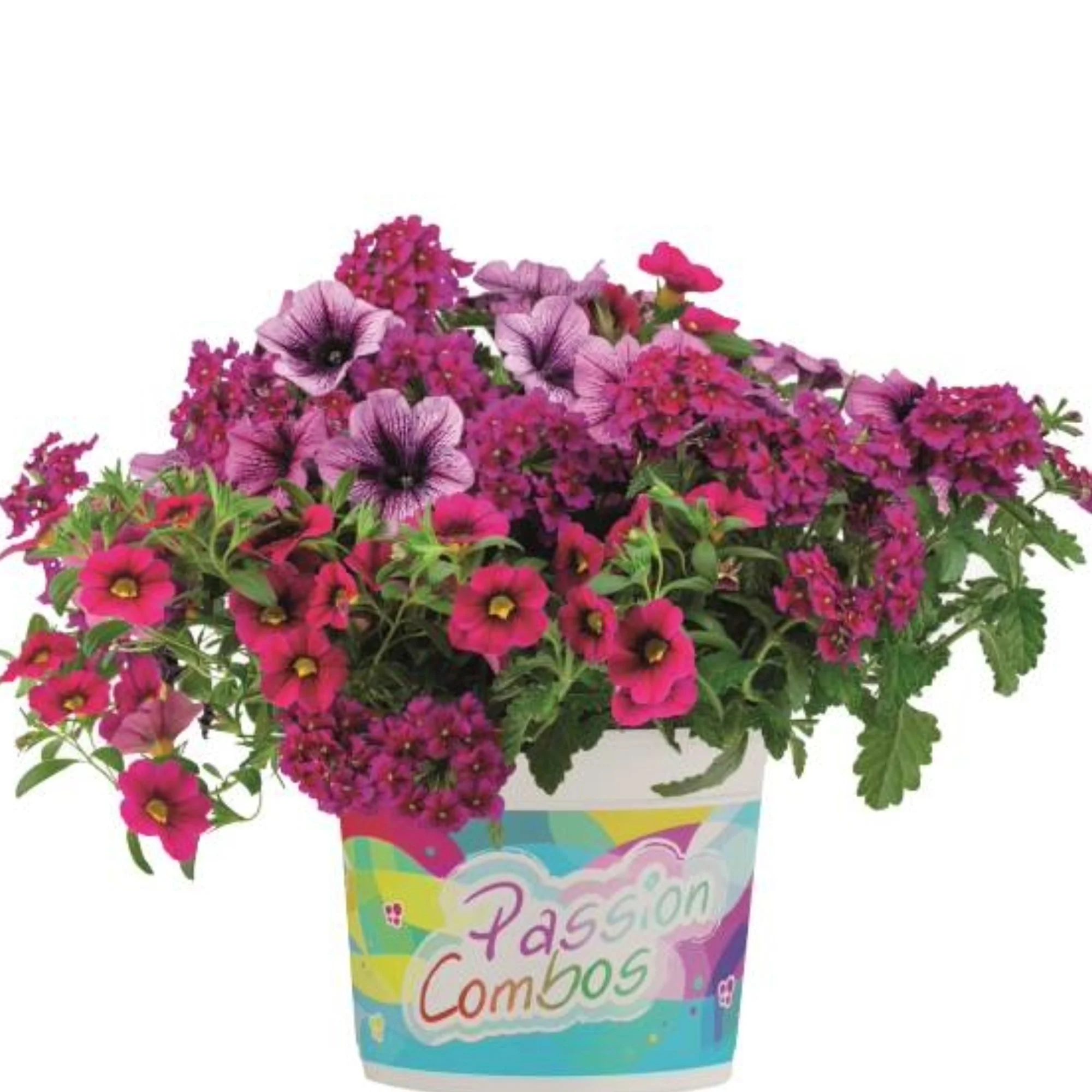 Image du produit 7