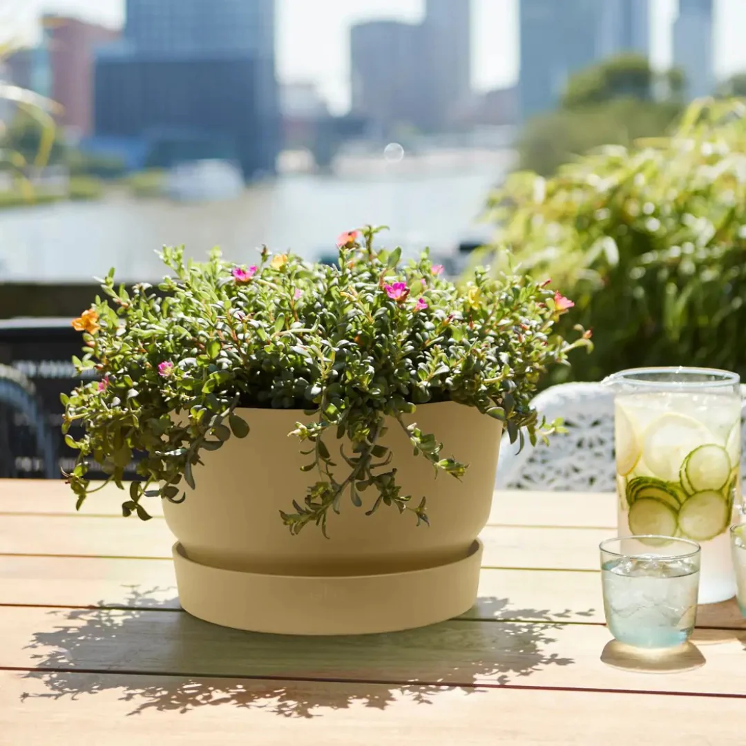 Pots, jardinières et tables potagères