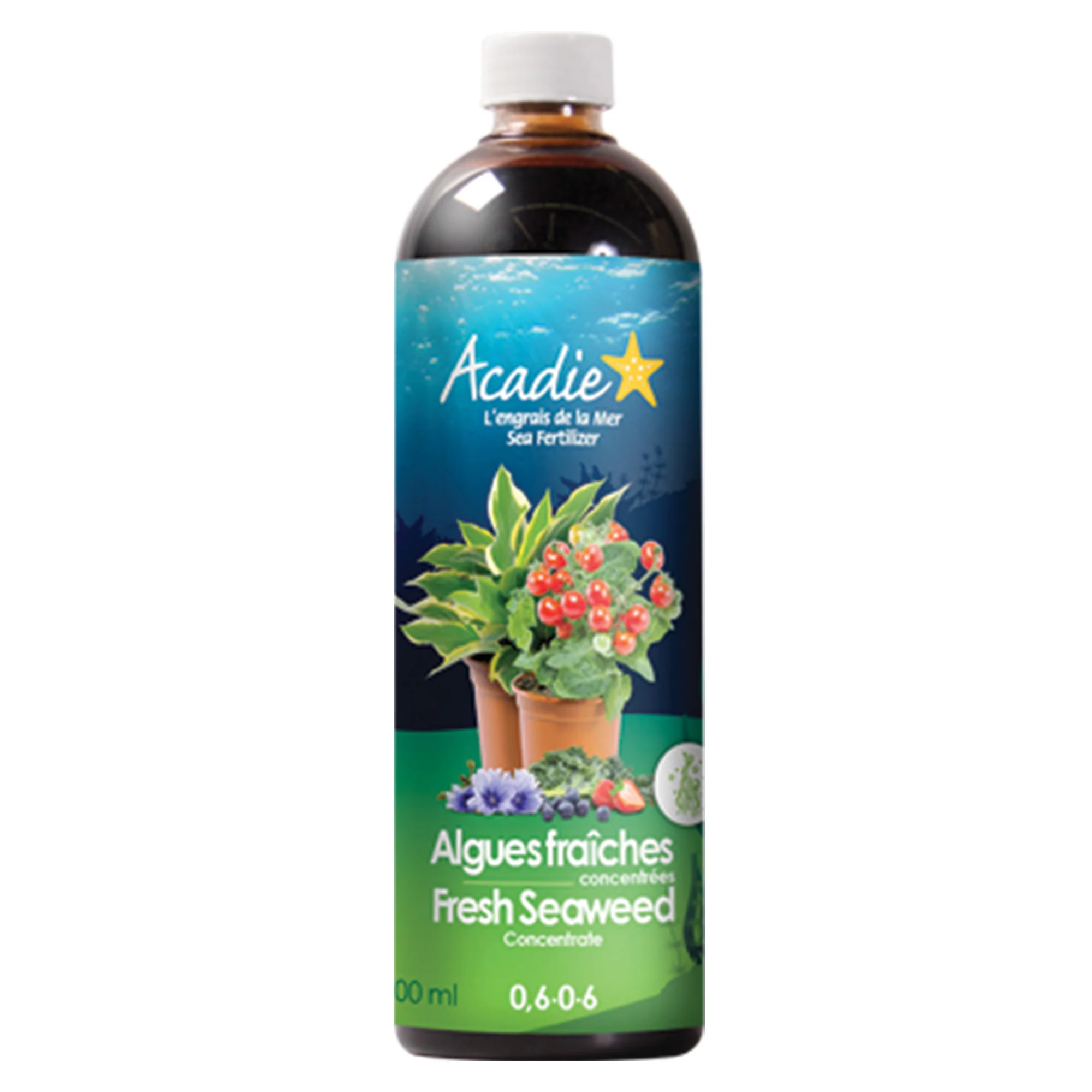 Image du produit 5
