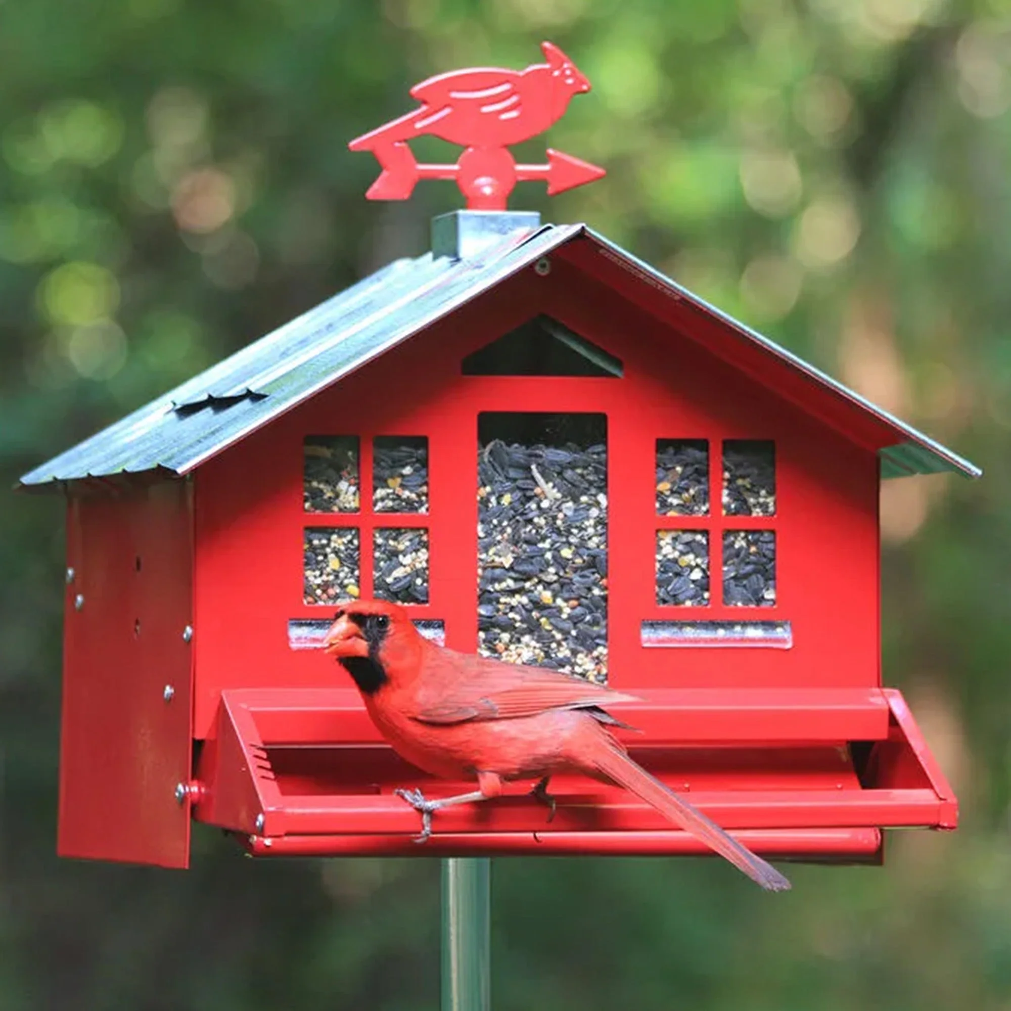 Miniature 1