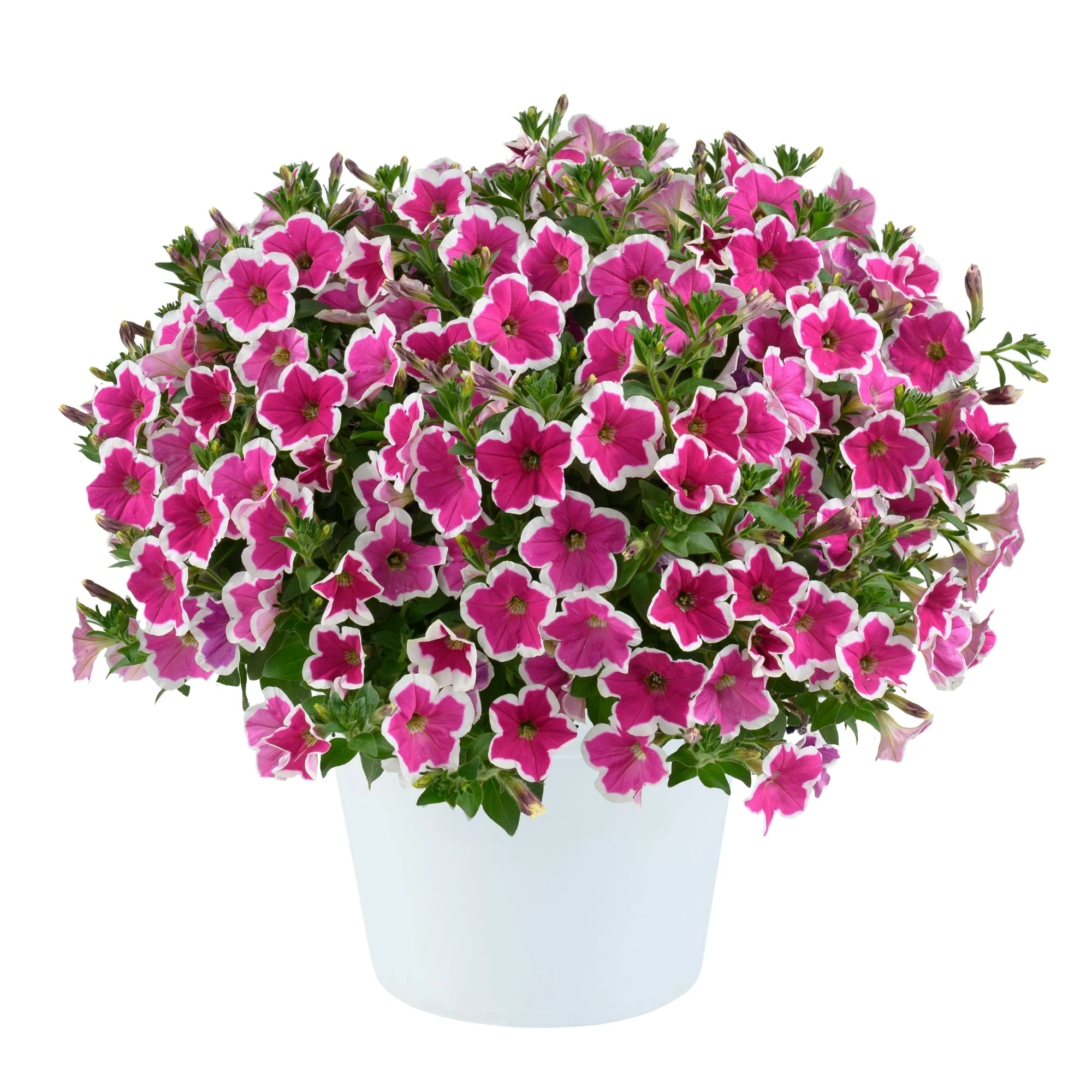 Image du produit 30